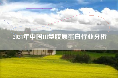 2024年中国III型胶原蛋白行业分析