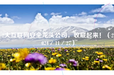 2大互联网安全龙头公司，收藏起来！（2024／11／27）