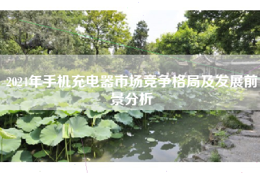 2024年手机充电器市场竞争格局及发展前景分析