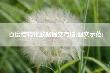 百度结构化数据提交方法(图文示范)