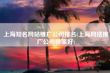 上海知名网站推广公司排名(上海网络推广公司哪家好)
