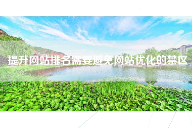 提升网站排名需要避免网站优化的禁区