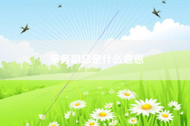 常务副总是什么意思