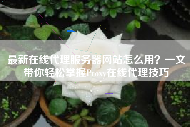 最新在线代理服务器网站怎么用？一文带你轻松掌握Proxy在线代理技巧