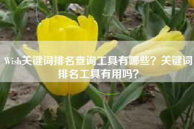 Wish关键词排名查询工具有哪些？关键词排名工具有用吗？
