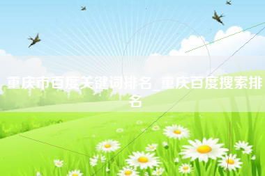 重庆市百度关键词排名_重庆百度搜索排名