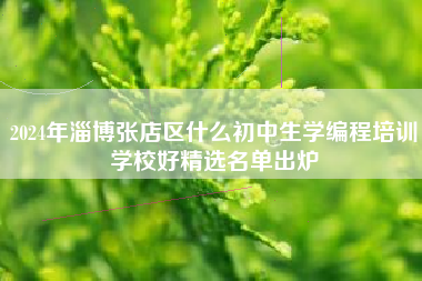 2024年淄博张店区什么初中生学编程培训学校好精选名单出炉