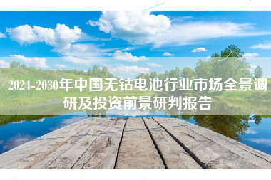 2024-2030年中国无钴电池行业市场全景调研及投资前景研判报告