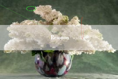 Resonon