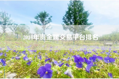 2024年贵金属交易平台排名