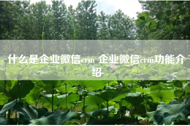 什么是企业微信crm 企业微信crm功能介绍