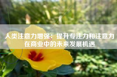 人类注意力增强：提升专注力和注意力在商业中的未来发展机遇