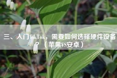 三、入门TikTok，需要如何选择硬件设备？（苹果VS安卓）