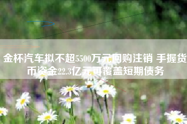 金杯汽车拟不超5500万元回购注销 手握货币资金22.3亿元可覆盖短期债务