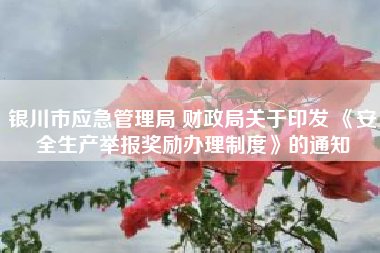 银川市应急管理局 财政局关于印发 《安全生产举报奖励办理制度》的通知