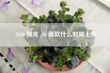 2020 别克 gl8 新款什么时候上市 2020 别克 gl8 新款什么时候上市