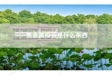 贵金属投资是什么东西