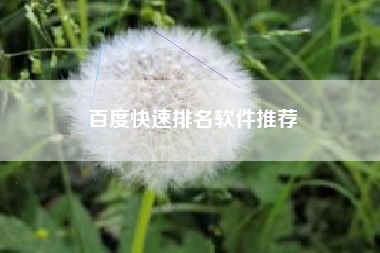 百度快速排名软件推荐