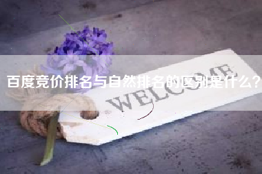 百度竞价排名与自然排名的区别是什么？