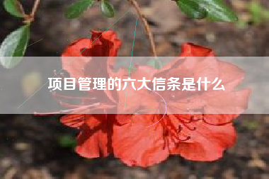 项目管理的六大信条是什么