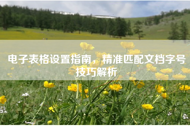 电子表格设置指南，精准匹配文档字号技巧解析