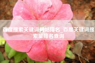 百度搜索关键词网站排名_百度关键词搜索量排名查询
