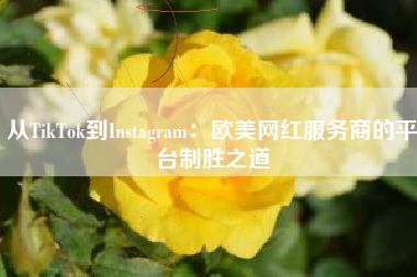 从TikTok到Instagram：欧美网红服务商的平台制胜之道