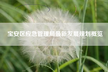 宝安区应急管理局最新发展规划概览