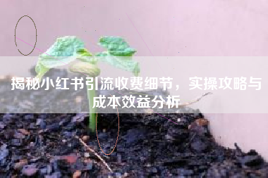 揭秘小红书引流收费细节，实操攻略与成本效益分析