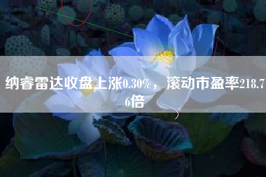 纳睿雷达收盘上涨0.30%，滚动市盈率218.76倍
