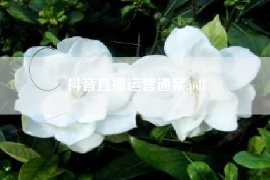 抖音直播运营通案.pdf