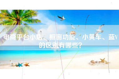 电商平台小店、橱窗功能、小黄车、蓝V的区别有哪些？