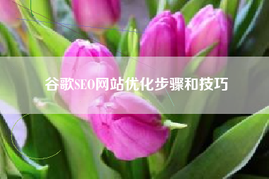 谷歌SEO网站优化步骤和技巧