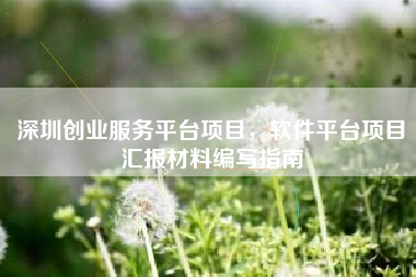 深圳创业服务平台项目，软件平台项目汇报材料编写指南