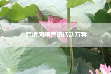 跨境网络营销活动方案