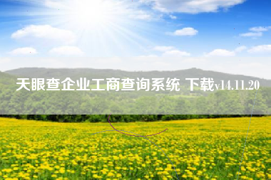天眼查企业工商查询系统 下载v14.11.20