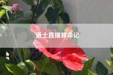 道士直播算命记