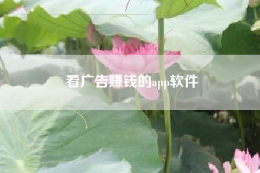 看广告赚钱的app软件