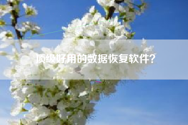 顶级好用的数据恢复软件？