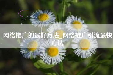 网络推广的最好方法_网络推广引流最快方法