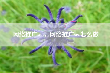 网络推广seo，网络推广seo怎么做