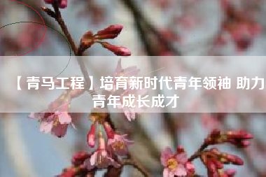 【青马工程】培育新时代青年领袖 助力青年成长成才