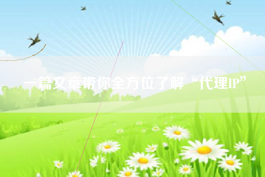 一篇文章带你全方位了解“代理IP”