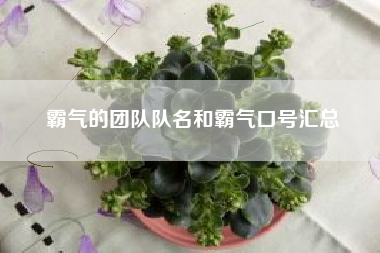 霸气的团队队名和霸气口号汇总