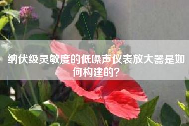 纳伏级灵敏度的低噪声仪表放大器是如何构建的？