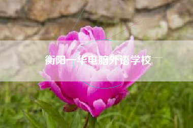 衡阳一华电脑外语学校