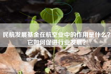民航发展基金在航空业中的作用是什么？它如何促进行业发展？