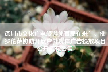 深圳市文化广电旅游体育局在米兰、佛罗伦萨协助开展户外媒体广告投放项目公开招标公告