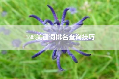 1688关键词排名查询技巧