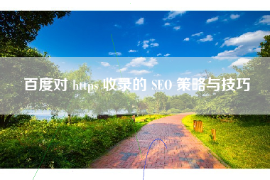 百度对 https 收录的 SEO 策略与技巧
